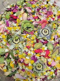 Image 3 of Gorgeous Teas SERENITY 