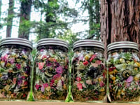 Image 6 of Gorgeous Teas SERENITY 