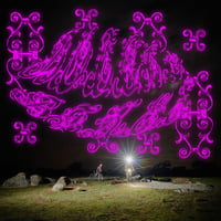 Image 5 of Botcho Iron Butterfly Teeee
