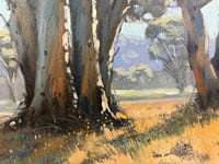 Image 3 of Gums On Pipeclay Lane