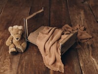 Image 1 of Bear Dreams
