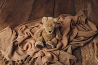 Image 7 of Bear Dreams