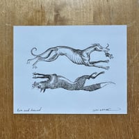 fox and hound 