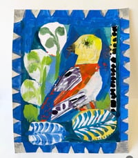 a birds discussion 