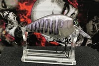 Image 5 of Squarebill LC 2.5 Crankbait  8159
