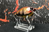 Image 5 of Squarebill LC 2.5 Crankbait  9197