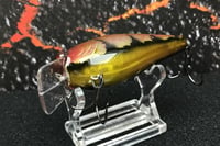 Image 2 of Squarebill LC 2.5 Crankbait  9197