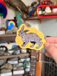 rabbit sticker