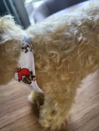 Image 8 of Cath Kidston Stanley dog - Handmade by Canterbury Bears