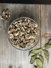 Moringa Seeds