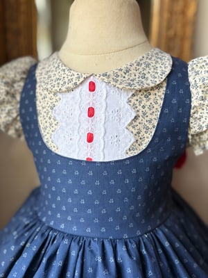Image of Apple Dress size 5