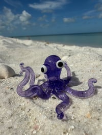 Purple Octopus