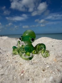 Green Octopus