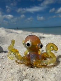 Yellow Octopus