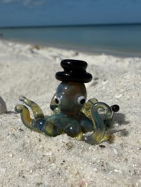 Fancy Octopus 