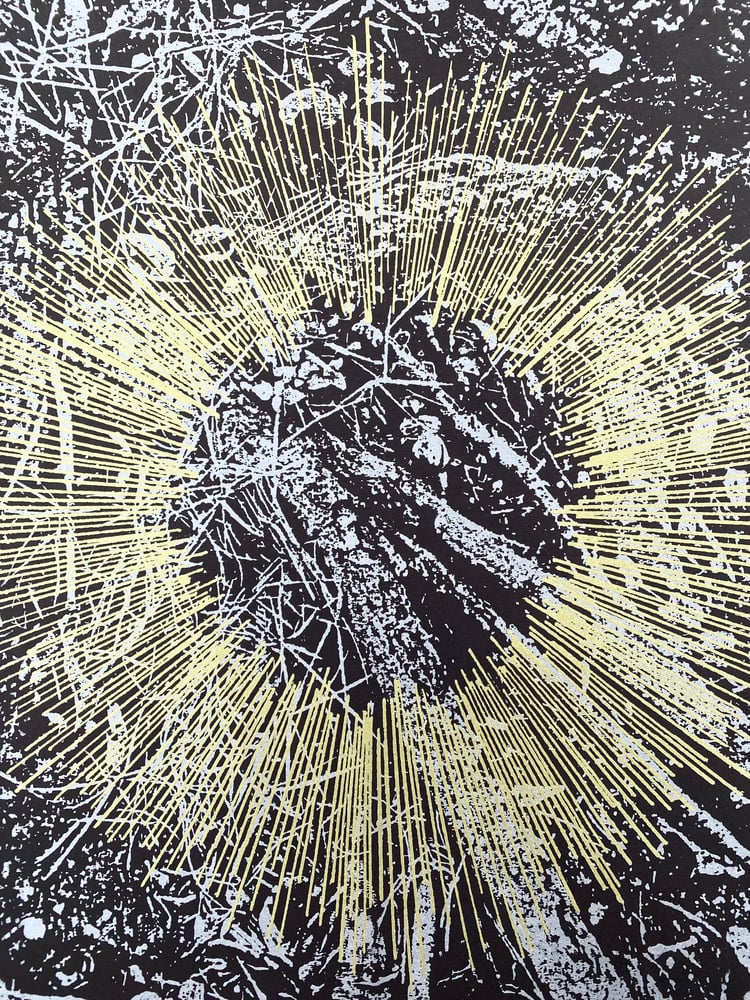 Image of 'in passing' print