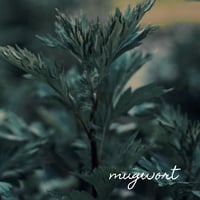 Image 2 of Mugwort Balm