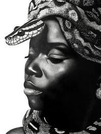 Image 1 of Serpentine Embrace III - Print