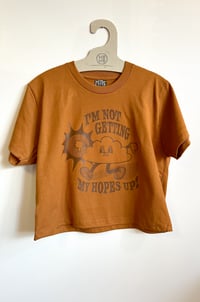 Image 3 of I'm not Getting my Hopes Up - Women's Heavyweight Boxy T-Shirt