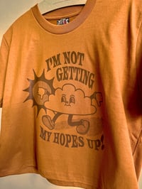 Image 4 of I'm not Getting my Hopes Up - Women's Heavyweight Boxy T-Shirt