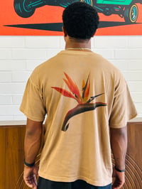 Image 3 of LA NATIVE Little Bird of Paradise 