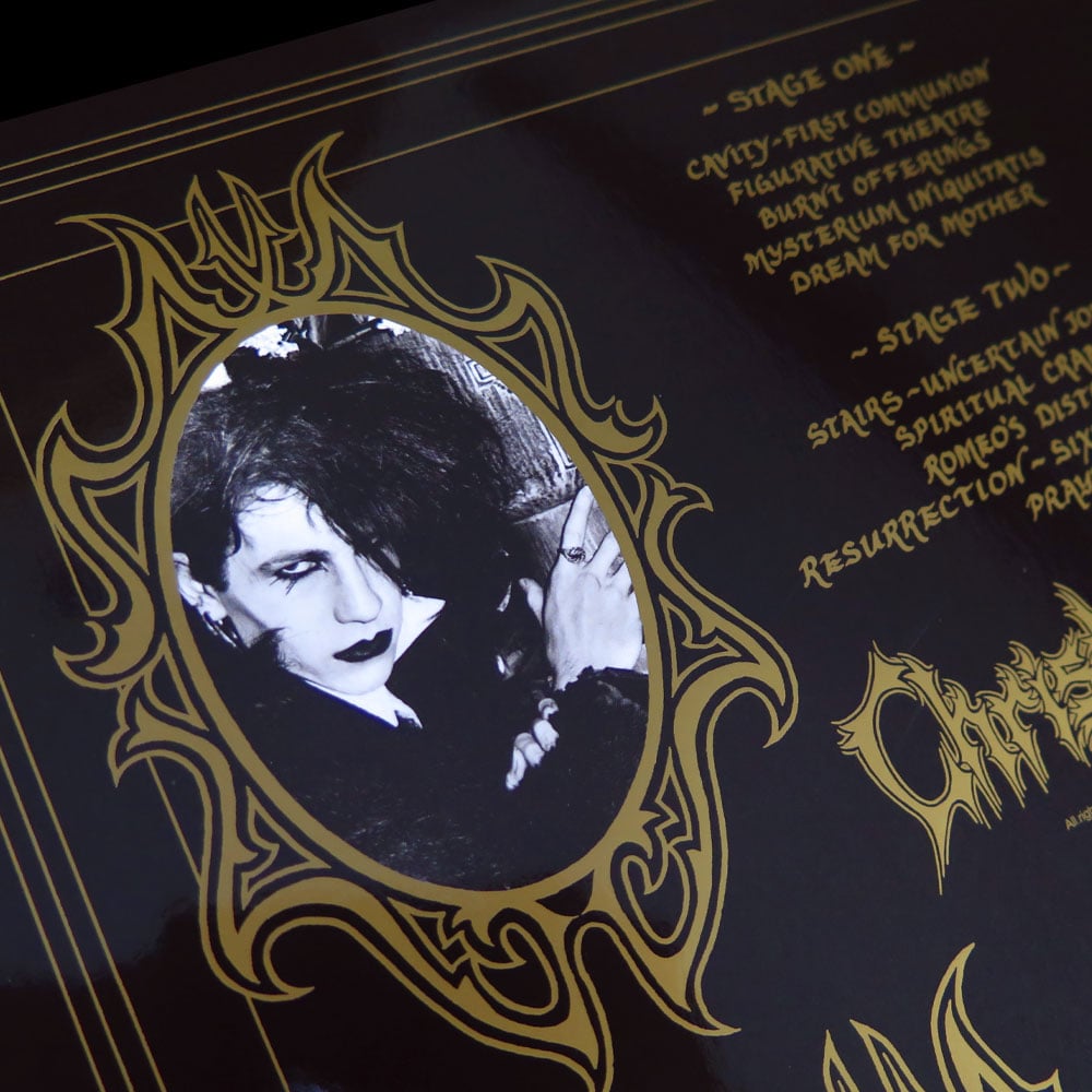 [希少！]Night Spit Death Pain ［CD+DVD］ Night of Death [DVD] – Synapse Films