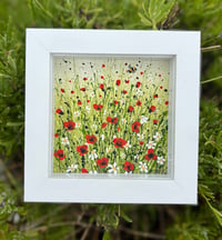 Image 3 of 'Diving In!'
