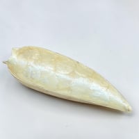 Image 1 of Vide-poche en nacre naturelle forme de feuille vintage 1970 Vide poche en nacre Capiz
