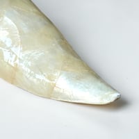Image 9 of Vide-poche en nacre naturelle forme de feuille vintage 1970 Vide poche en nacre Capiz
