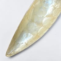 Image 7 of Vide-poche en nacre naturelle forme de feuille vintage 1970 Vide poche en nacre Capiz