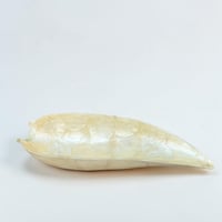 Image 3 of Vide-poche en nacre naturelle forme de feuille vintage 1970 Vide poche en nacre Capiz