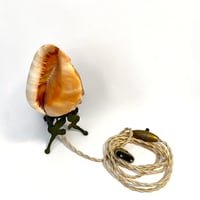 Image 7 of Lampe Veilleuse Coquillage Camée Sculpté Les Trois Grâces sur socle bronze fin XIXe