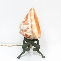 Image 9 of Lampe Veilleuse Coquillage Camée Sculpté Les Trois Grâces sur socle bronze fin XIXe