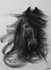 Image 1 of Horse #1