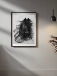 Image 3 of Horse #1