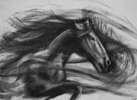 Horse #2