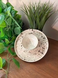 Individual Lunch Platter