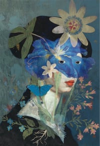 Image 1 of The Blue Butterfly 