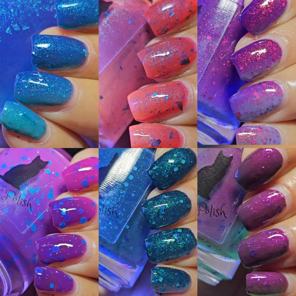 Image of The Spring Solar Collection 