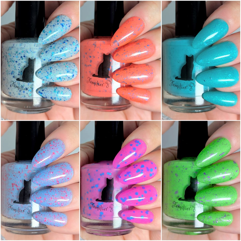 Image of The Spring Solar Collection 