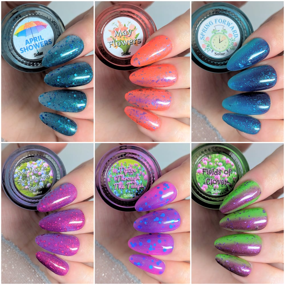 Image of The Spring Solar Collection 
