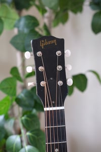 Image 3 of 1949 Gibson J-45