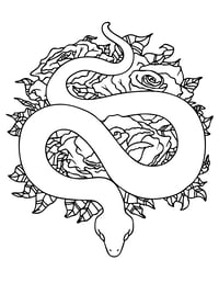 Image 5 of 20 Gothic Fantasy Coloring Pages, Digital Download, Coloring Book, Adult, Instant Download