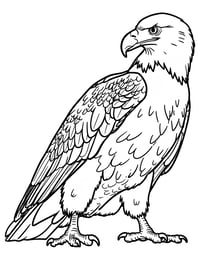 Image 11 of 20 Animal Coloring Pages, Digital Download, Coloring Book, Adult, Instant Download