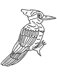 Image 18 of 20 Animal Coloring Pages, Digital Download, Coloring Book, Adult, Instant Download