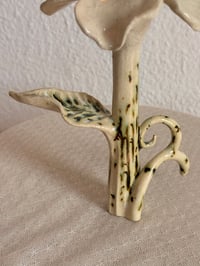 Image 3 of OUTLET Mossflower Relic