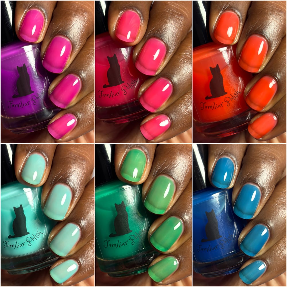 Image of The Summer Jellies Collection 