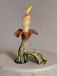 Image 1 of  Mossbound Bloom