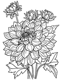 Image 5 of 25 Pretty Floral Coloring Pages, Digital Download, Coloring Book, Adult, Instant Download book 2