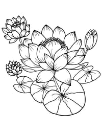 Image 9 of 25 Pretty Floral Coloring Pages, Digital Download, Coloring Book, Adult, Instant Download book 2